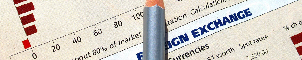 ERP Consultant – Development – Implementation